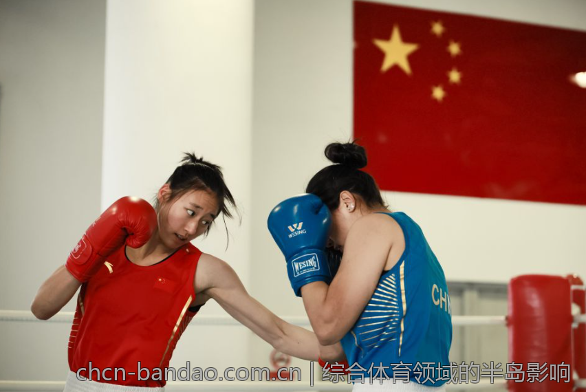综合体育领域的半岛影响
